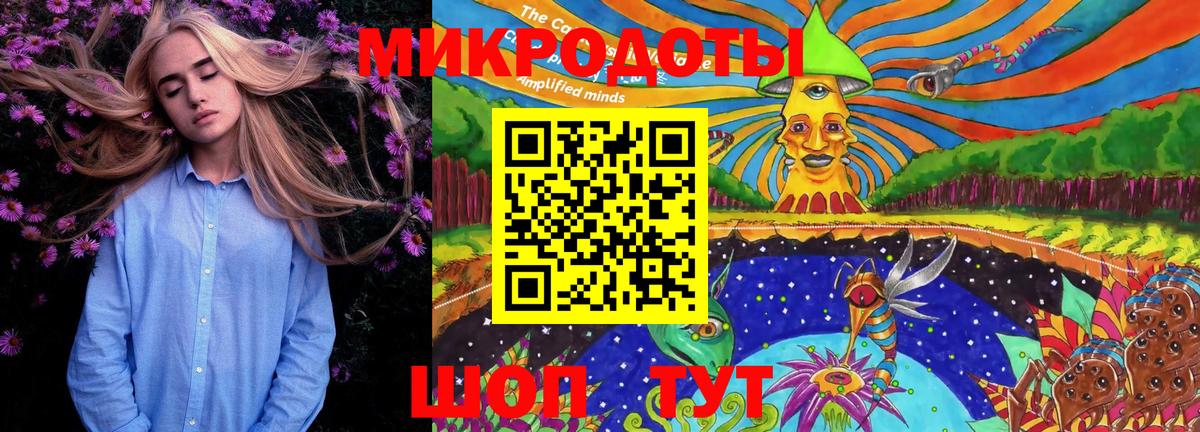 Псилоцибиновые грибы Psilocybine cubensis  Псилоцибиновые грибы прущие грибы  Вход с VPN  Анапа 